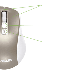 ⁦ASUS MW202 Silent & Ergonomic Wireless Mouse 2.4GHz Blue⁩ – תמונה ⁦3⁩