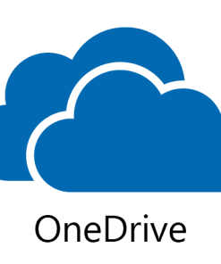 OneDrive for Business (Plan 2) (NCE COM ANN)
