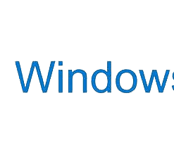 Windows 11 Pro COA