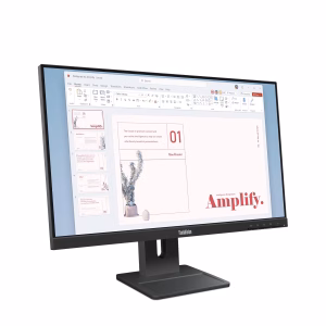 Lenovo E24-40 23.8 IPS DP HDMI VGA Pivot SPK 100Hz Black 3YOS